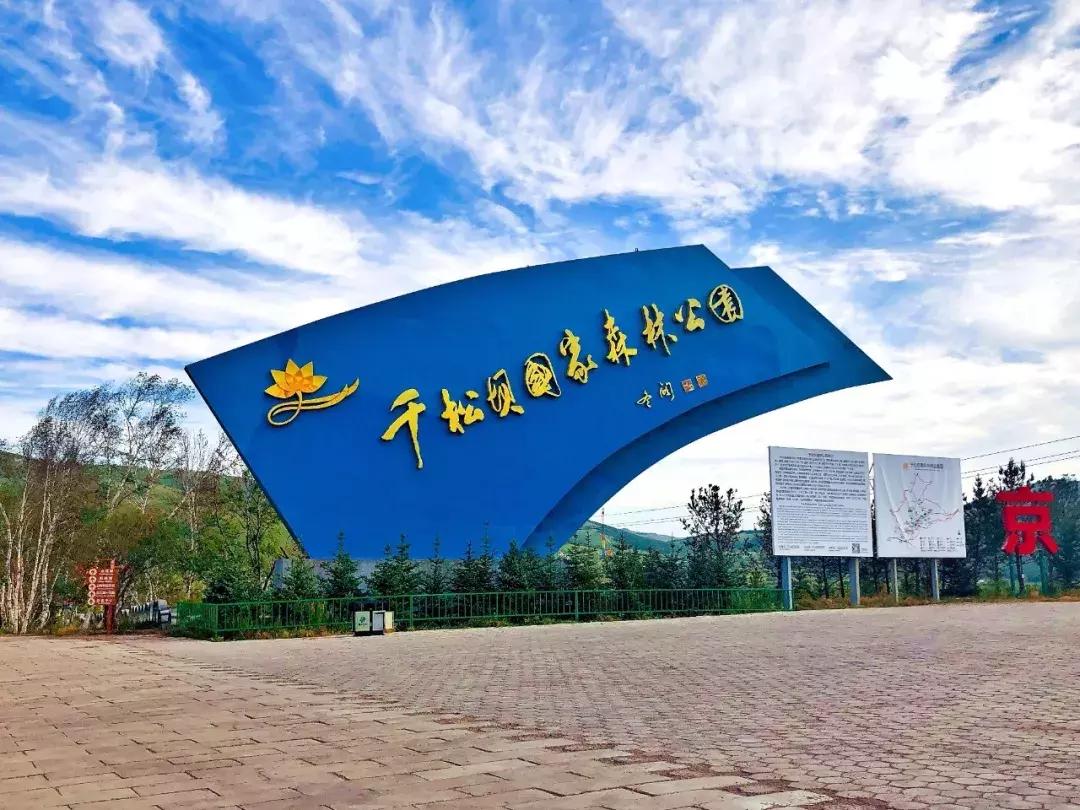 千松坝国家森林公园看云海,在万米的高空看云海