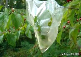 户外探险取水视频教程,户外探险必备十大技能