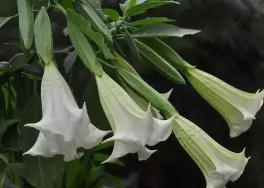 抢救室里被鬼上身的大妈