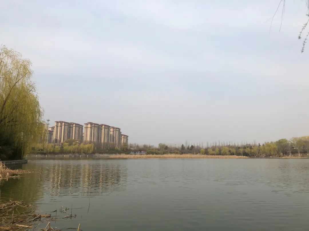 济南开荒保洁孙村,济南孙村