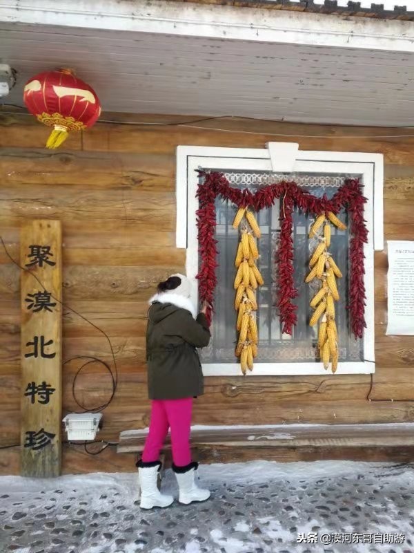 漠河极寒之旅,漠河遇到熊