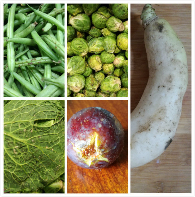 德国有机超市,在德国生活是什么体验