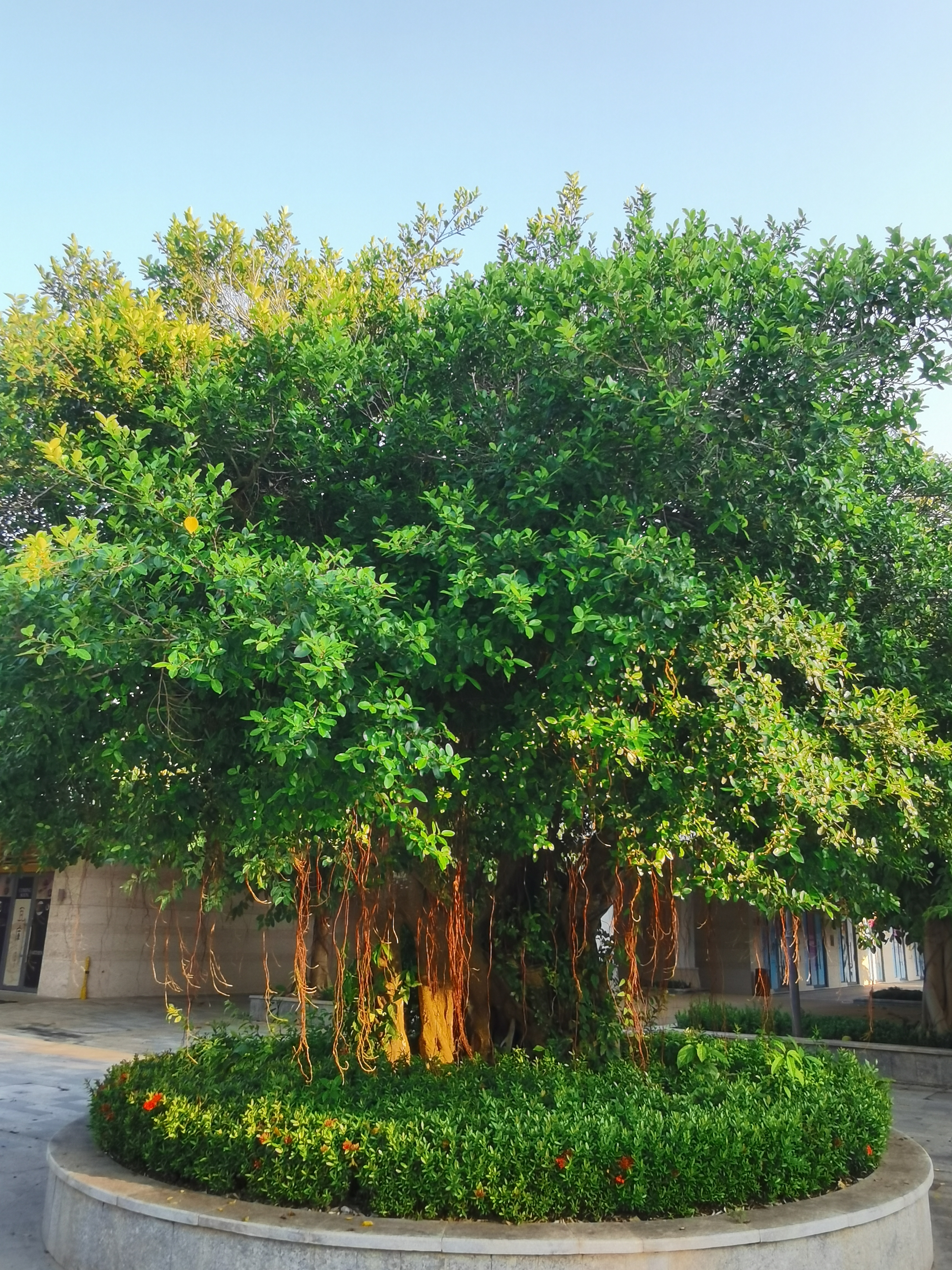 鍗氶硨璁哄潧姘镐箙浼氬潃涓囨硥娌冲叆娴峰彛,涓囨硥娌冲叆娴峰彛