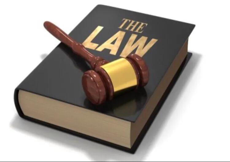 金毛被男子疯狂虐待，志愿者被威胁报复，有些人内心到底有多黑暗