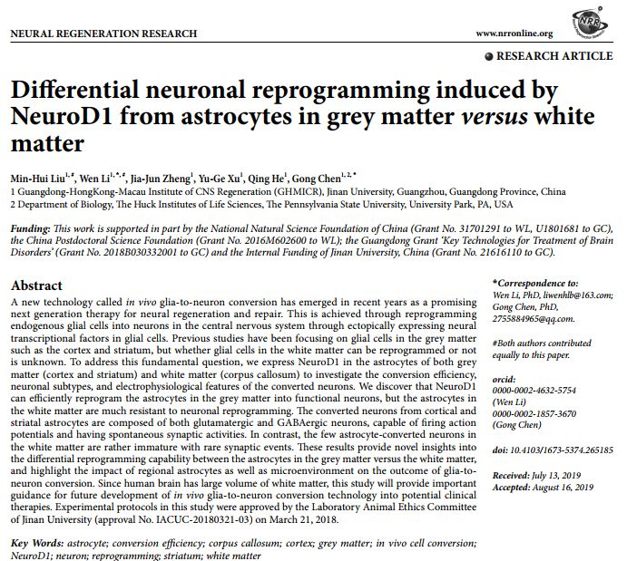 清华大学同陈功联手让神经元再生,陈功教授再生神经元治疗精神病