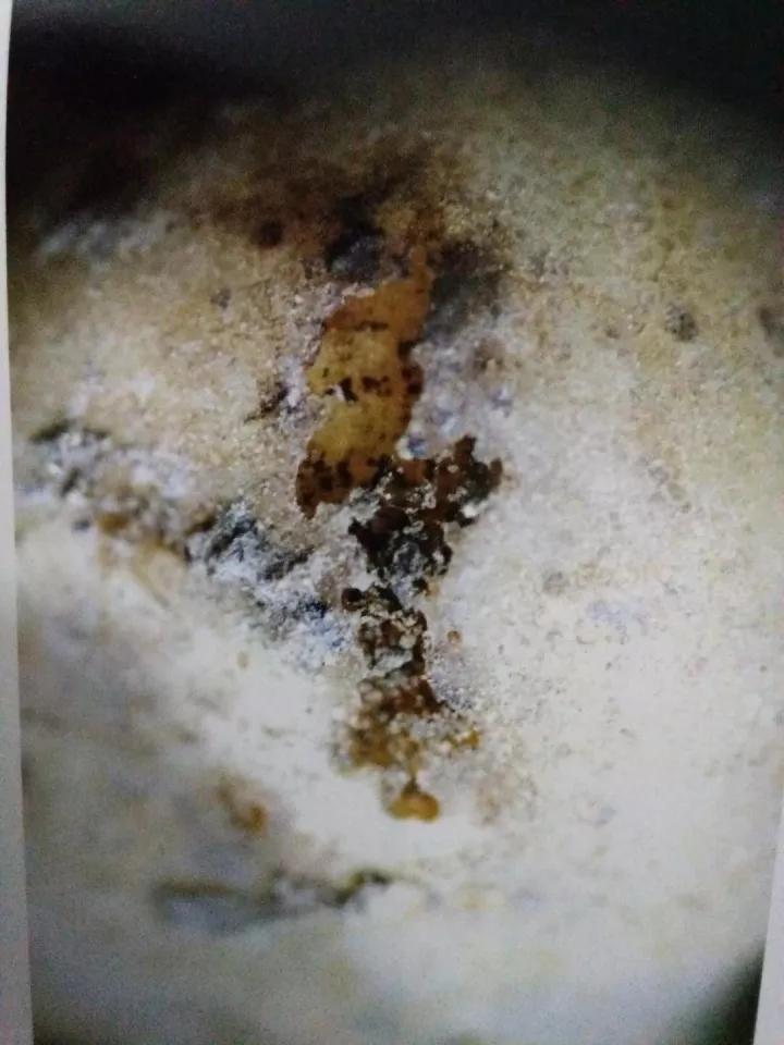 马铃薯的地下害虫有哪些,马铃薯种植技术及病虫害防治