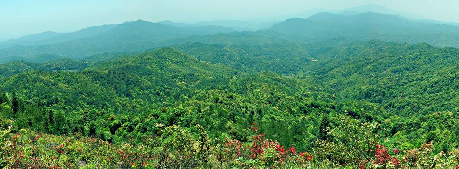 寻乌东江源头视频,红色美丽乡村