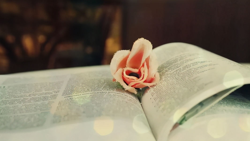 关于以色列你不知道的12个事实,现在的以色列怎么样了