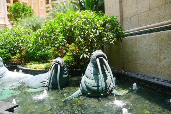 广东珠海12月旅游的最佳地方,珠海旅游攻略冬天最佳线路