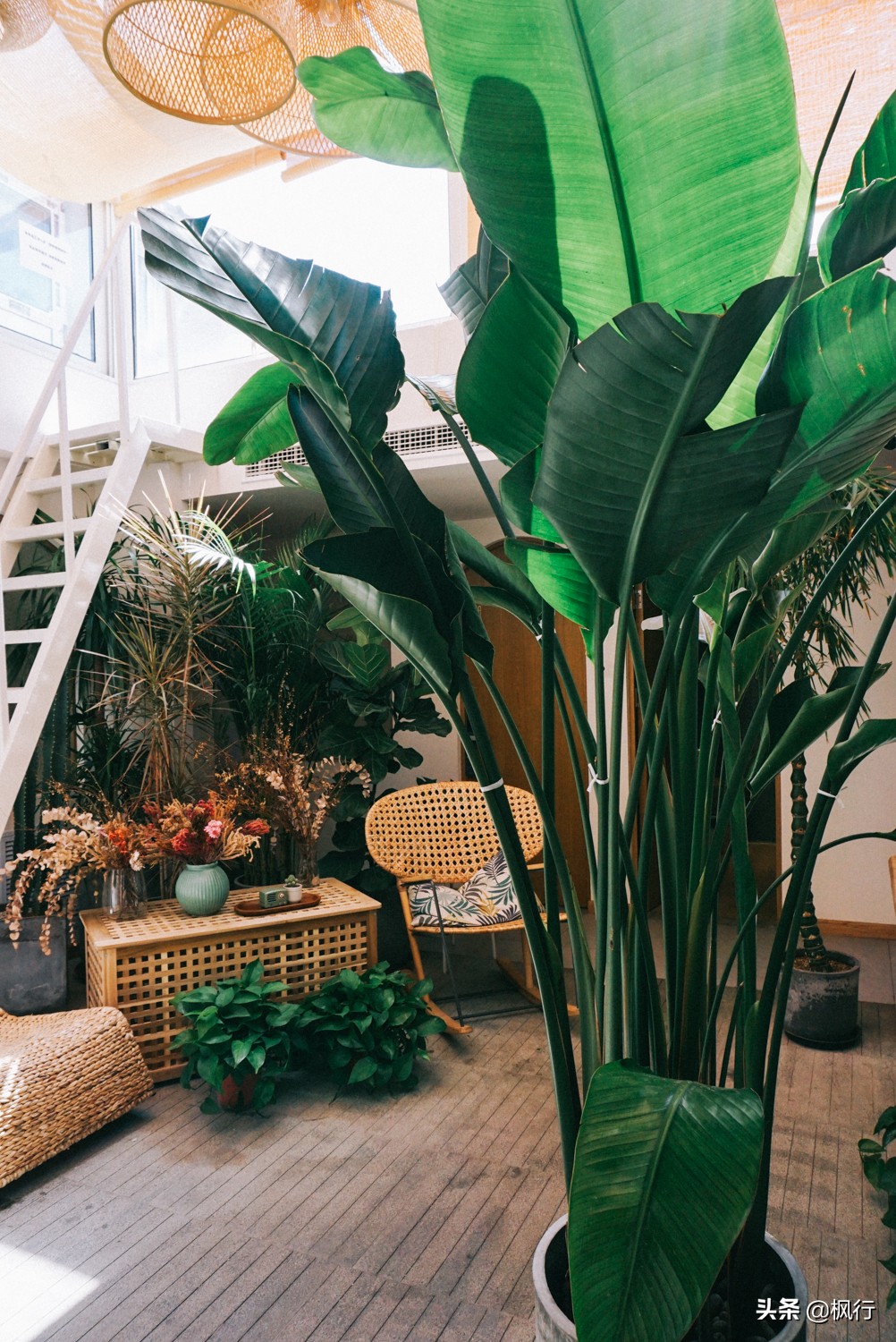 北京必去的咖啡馆推荐,从什刹海到王府井