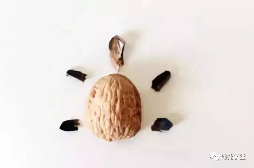 废物利用亲子手工制作坚果,创意坚果手工制作大全图片