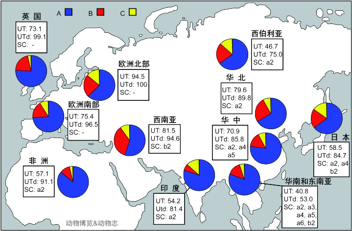 狗的不同品种长得千差万别,它们都是狼的后代吗?