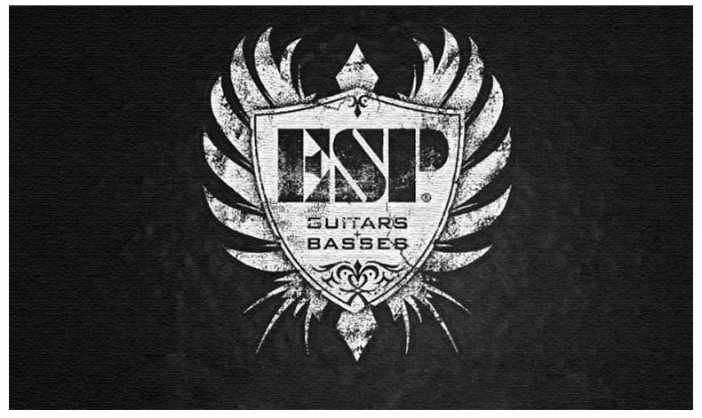 吉他品牌logo大全及介绍,十大吉他品牌logo大全