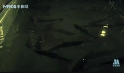 三趟快车|不为人知的“赶车人”（二）