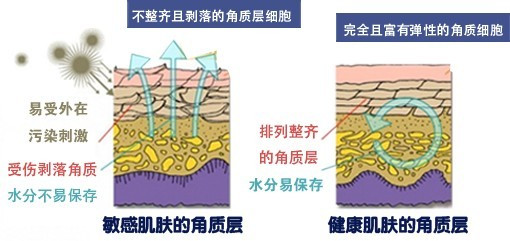 生物护肤修复痘痘敏感肌,油痘敏感肌护肤步骤的正确步骤