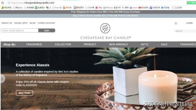 10万变5亿，这位女华人竟靠蜡烛征服总统夫人！