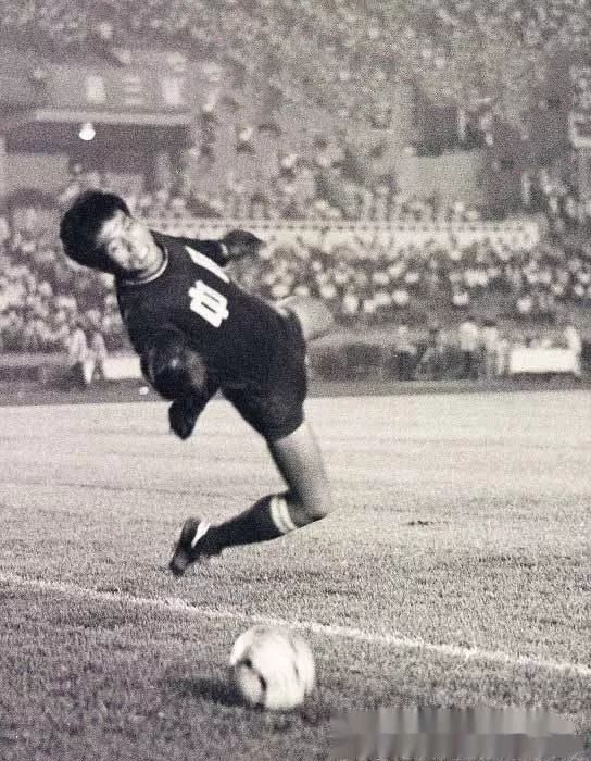 一张照片引起的回忆500字,一张照片引起的回忆作文