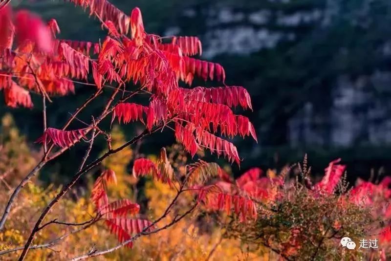 玉田县什么时候能发展一下,玉田是个怎样的地方