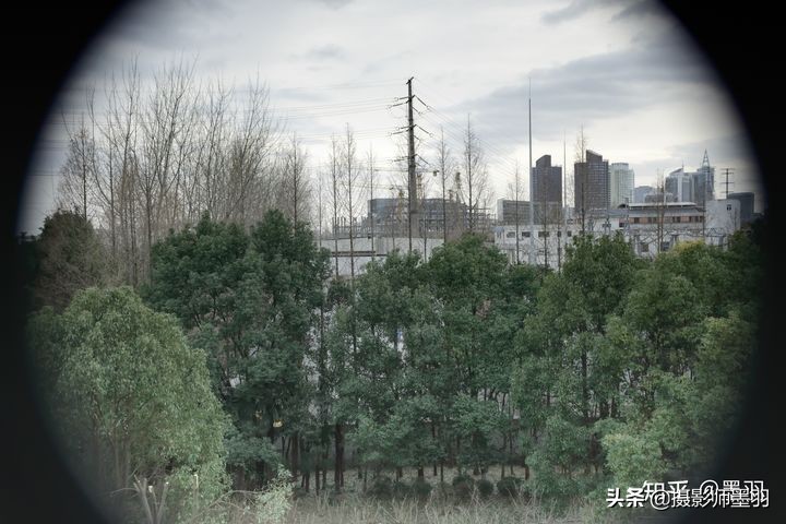 相机长焦拍摄和手机长焦拍摄,相机拍摄的构图范围和出片不一样