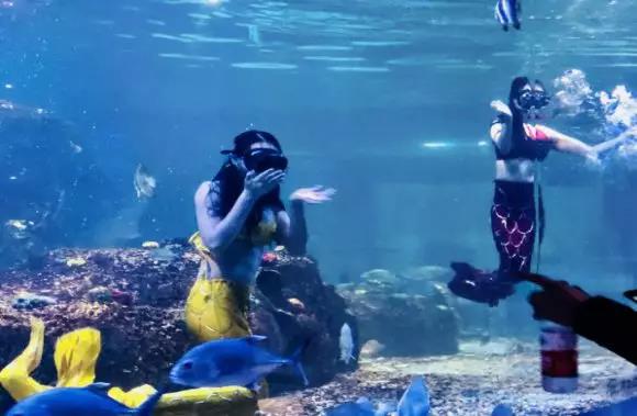 推荐熊孩子玩的游戏,周末去童趣熊儿童乐园玩