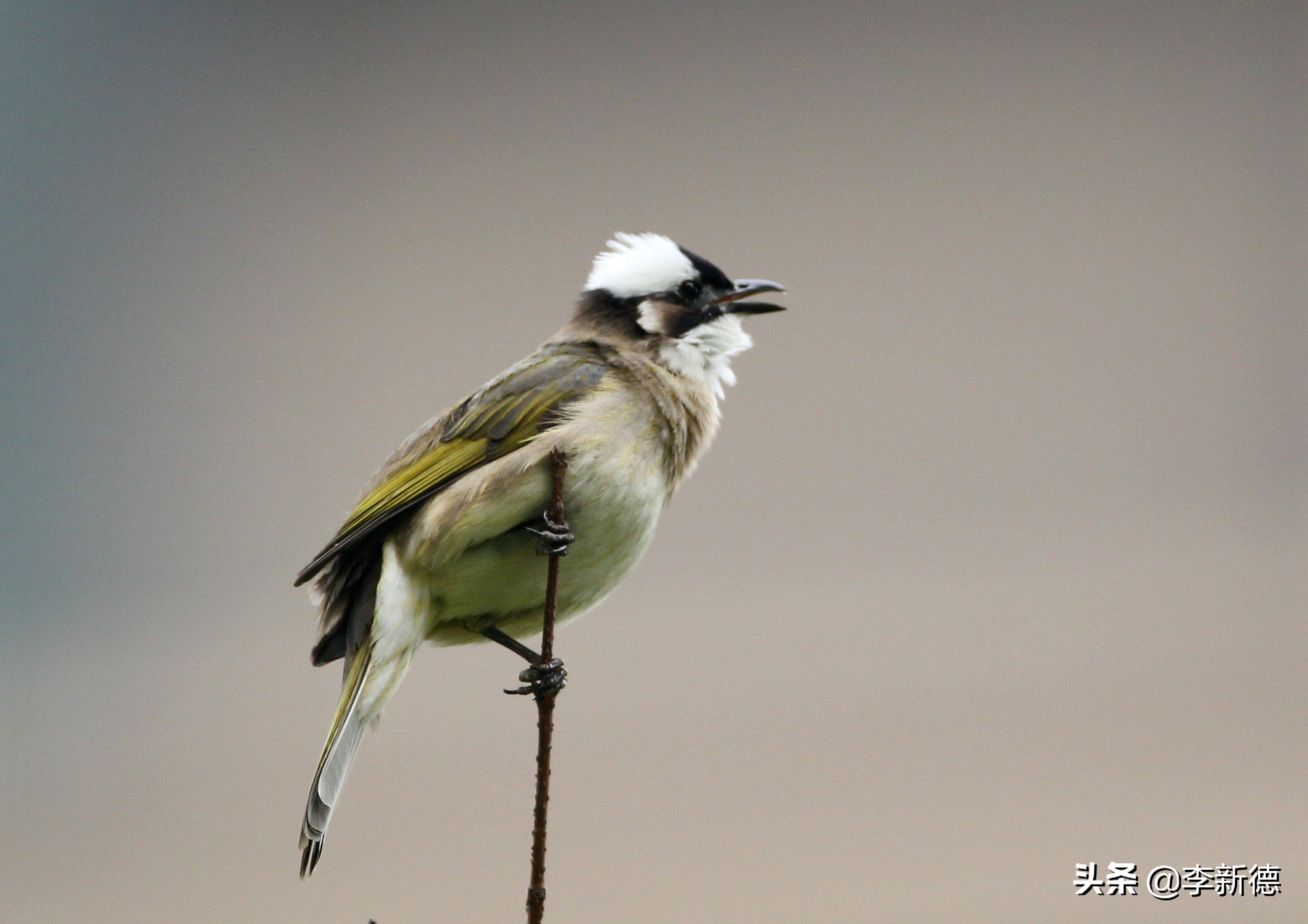 佳能相机5d3拍视频用哪个档位,佳能5d3适马2470