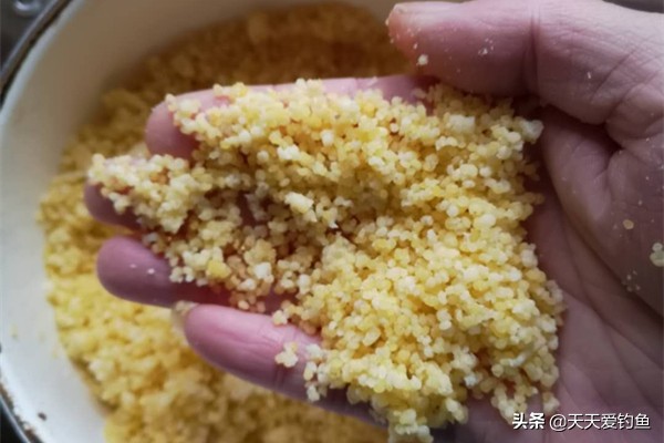 自己做酒米鲫鱼窝料最牛配方,四季通用钓鲫鱼酒米配方