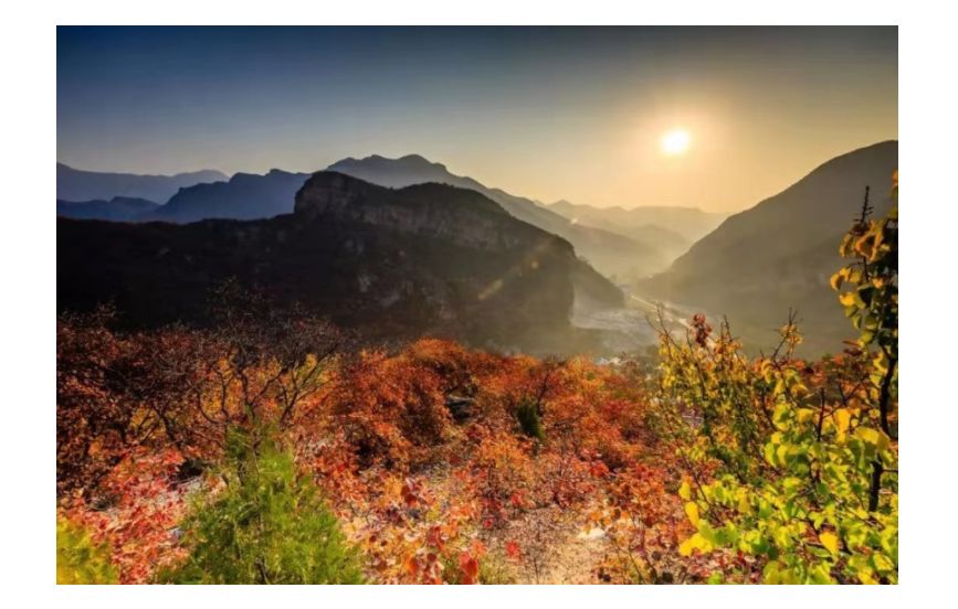 70年70人|韩飞宇：钢筋混凝土上的“绸缎”思维