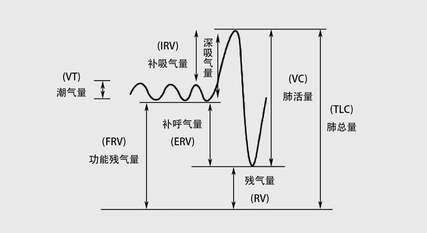 拿到报告后看不懂,拿到病理报告需要看什么