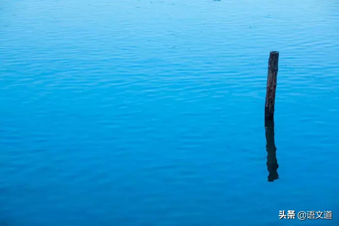 50组易混淆的成语你真的用对了吗,大公无私和铁面无私的辨析