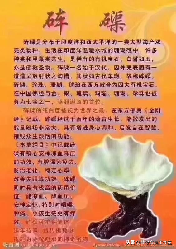 黄砗磲与白色玉化砗磲哪个硬度高,砗磲保养记住三点保证光亮如新