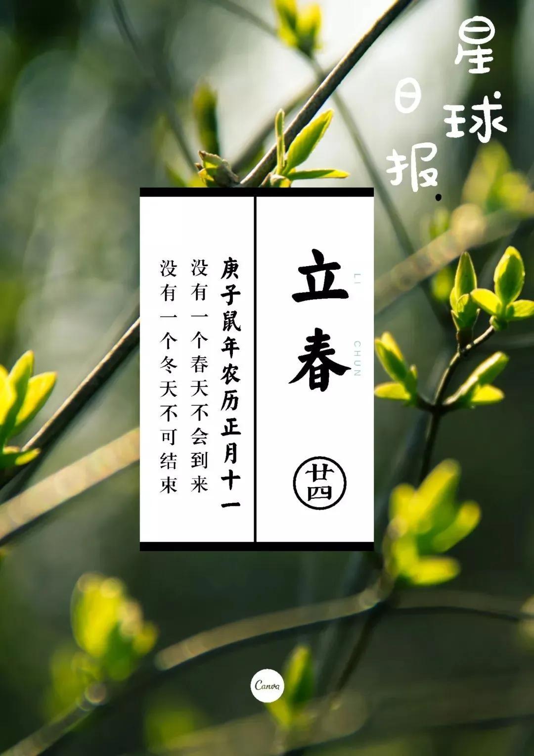 深圳荟同国际学校出了什么网红,深圳荟同发布探校信息