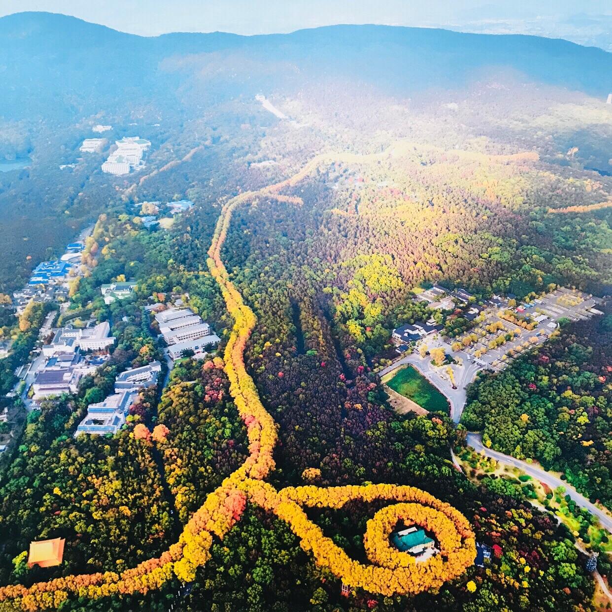 共和国荣誉勋章获得者钟南山照片,共和国勋章钟南山院士事迹