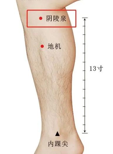 艾灸和拔罐哪个祛湿气效果好一些,三伏祛湿最有效的方法艾灸