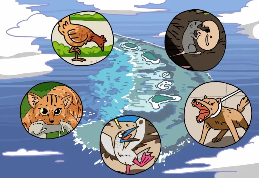 观往知来的含义,一封寄到西沙的信