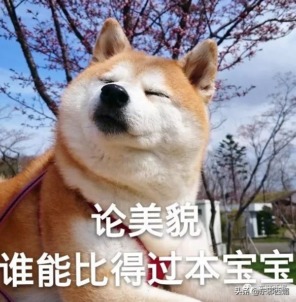 一封信踢爆惊天往事：他也会出轨？！男人的高尚从来和女人不一样