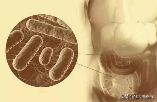 中西结合治疗的最佳方法,中西医结合促健康