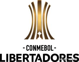 南美解放者杯比分查询攻略,南美解放者杯集锦