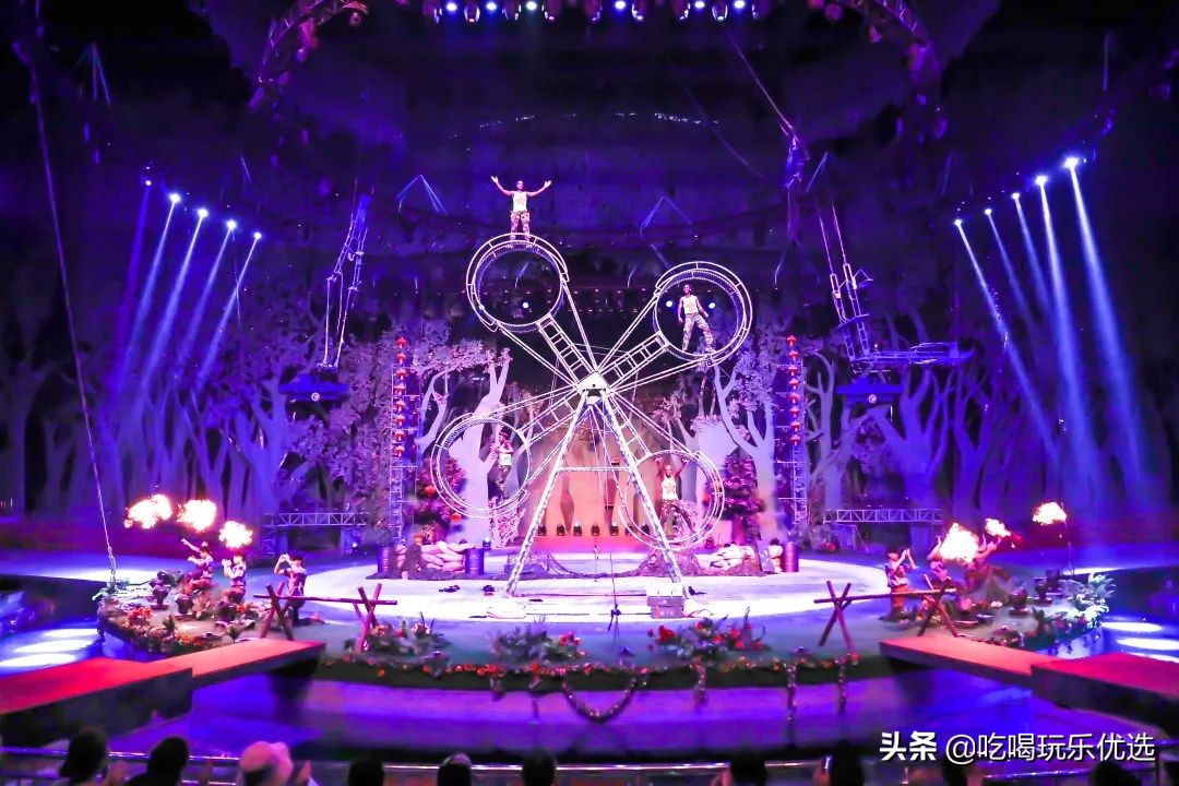 厦门灵玲动物王国大熊猫,厦门马戏团灵玲动物王国观光游览