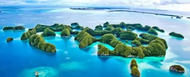 帕劳自由潜水完整视频,帕劳自由潜水玩法