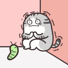 珠海一日游免费攻略,珠海10块免费一日游