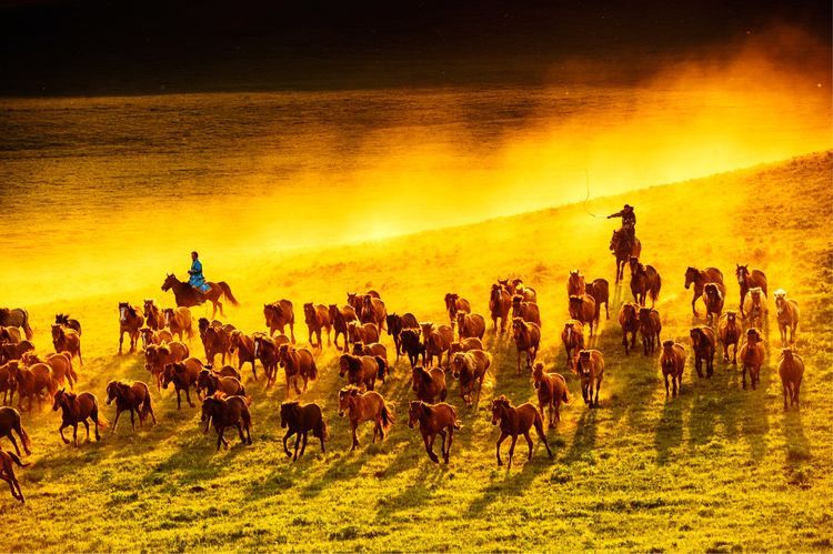 国际旅游摄影作品欣赏,国际旅游摄影官网