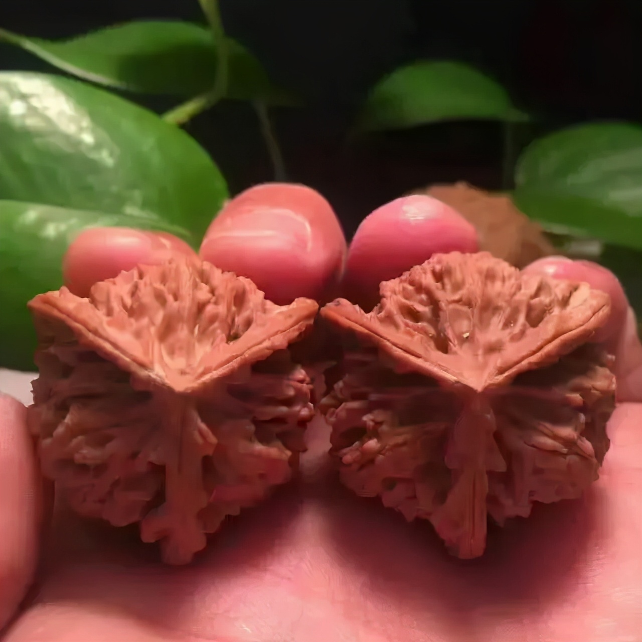 如何盘核桃又红又亮,核桃怎么盘油亮