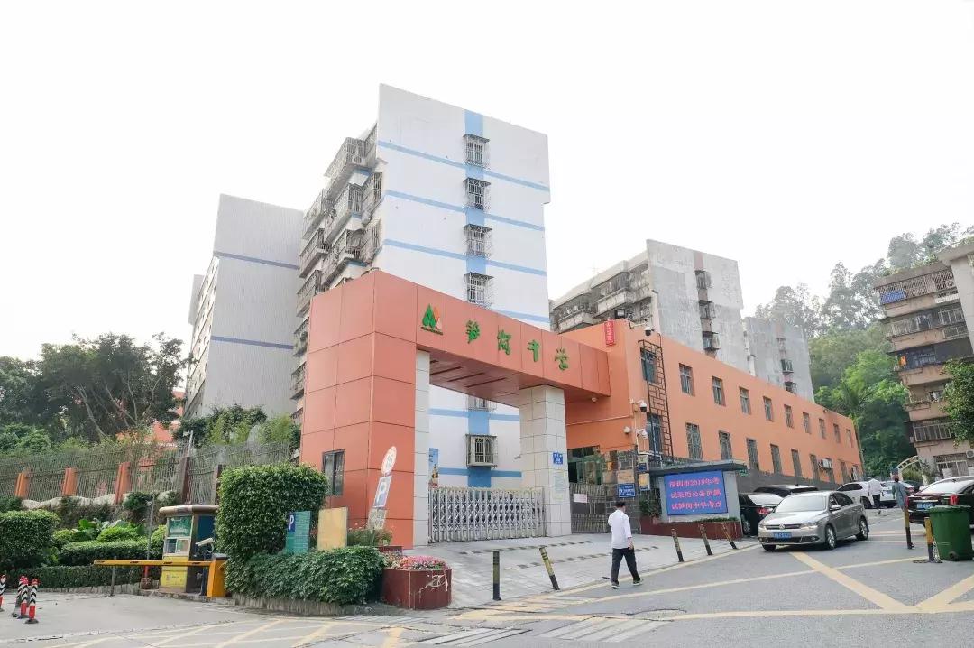 公社笋岗,万象笋岗