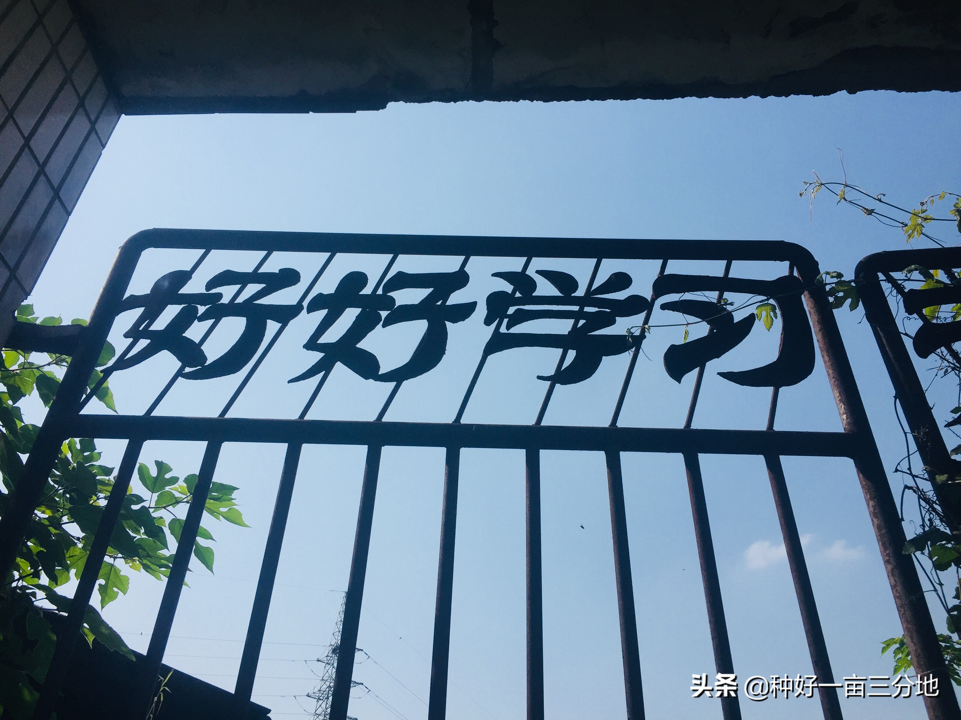 湖北的废弃小学,湖北荒废废弃学校