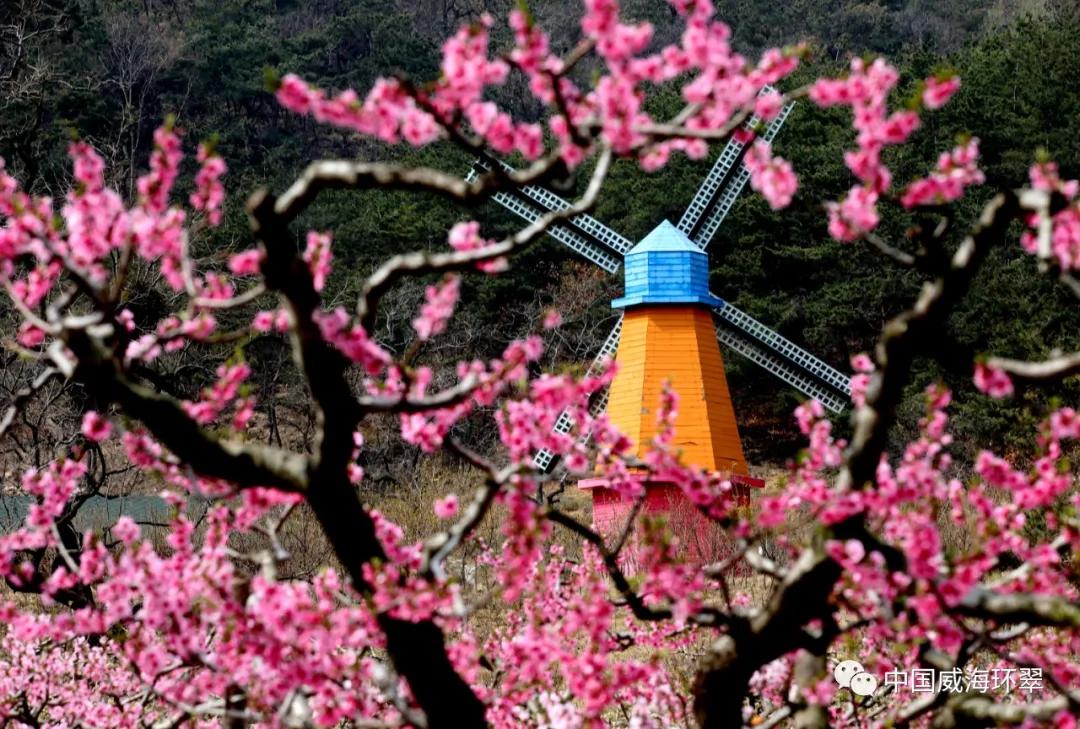 环翠景色,环翠美景