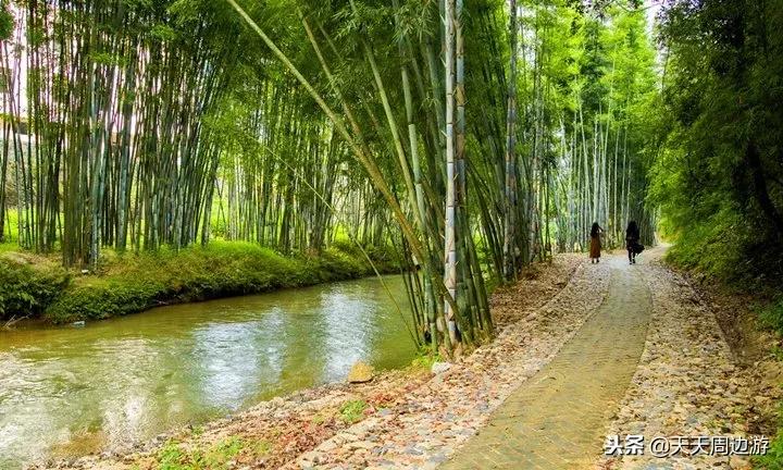 寻找广东最美古道秋景