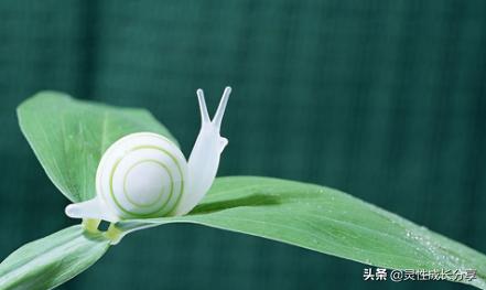 灵性觉醒篇20,灵性觉醒完整版