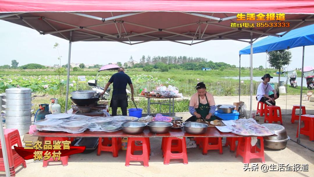 三农青年创业,返乡创业青年记录真实生活三农