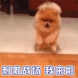 kfc汉堡王都是哪一天打折,kfc金拱门汉堡王