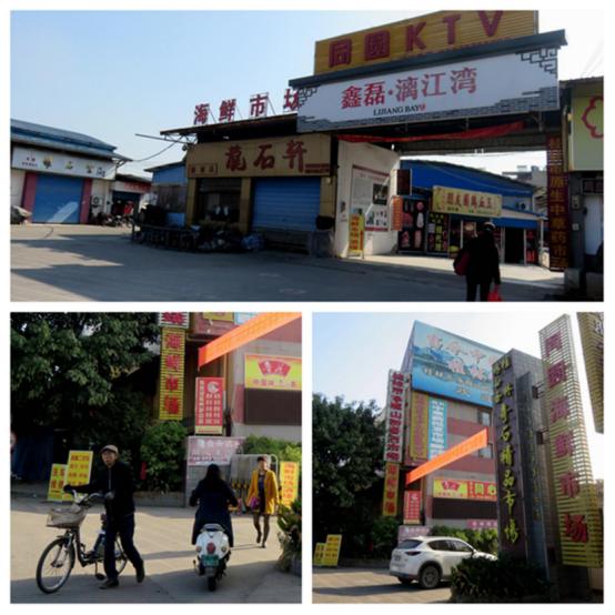 龙胜凤鸡竟“飞”入海鲜市场,“高规格”背后大有文章